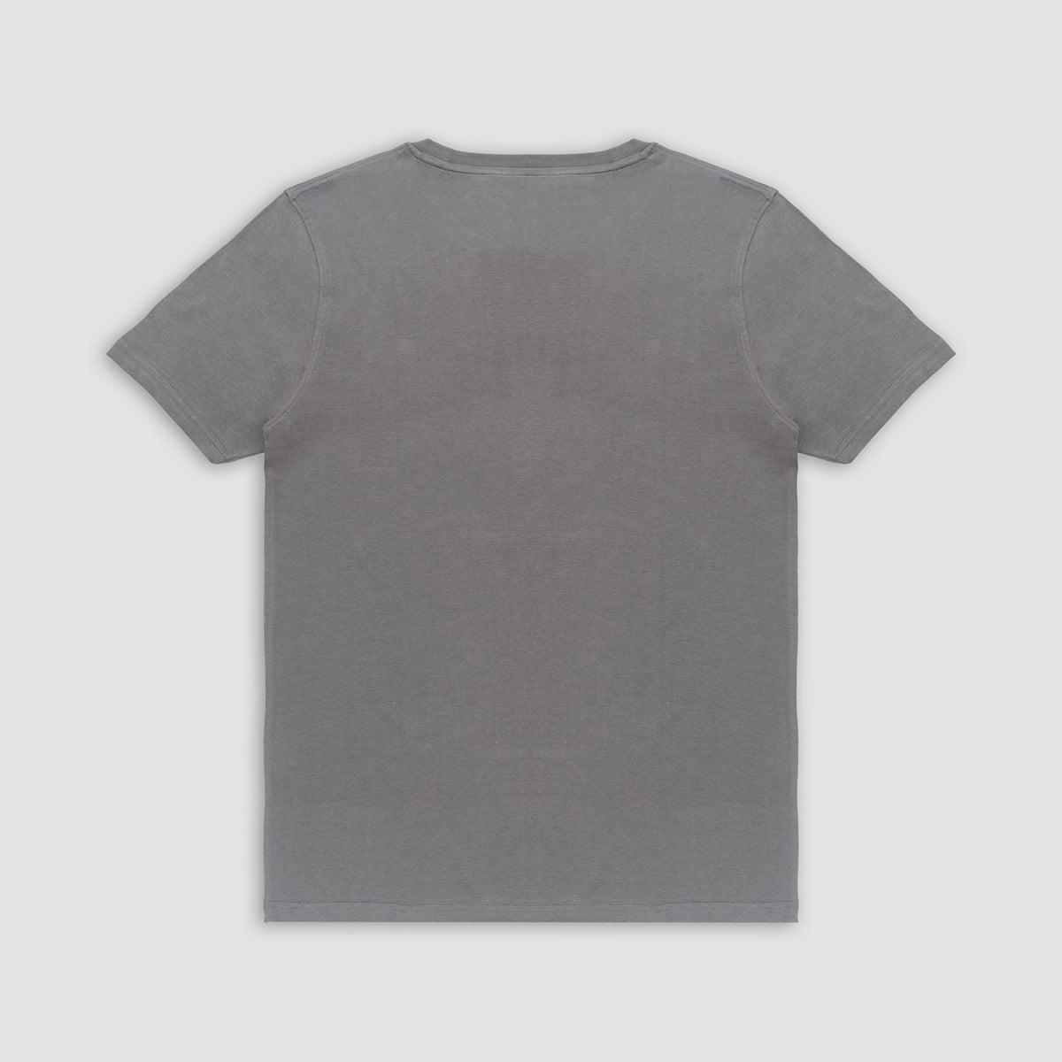 Printed Gray T-Shirt